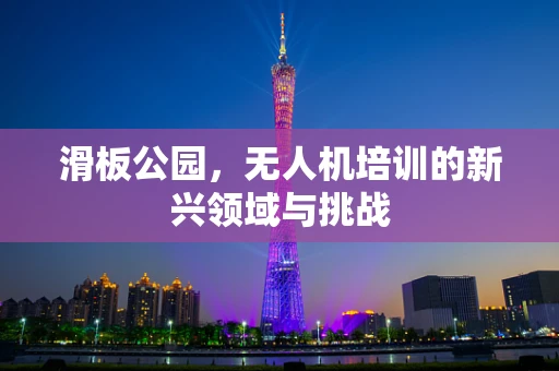 滑板公园，无人机培训的新兴领域与挑战