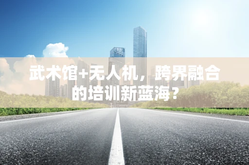 武术馆+无人机，跨界融合的培训新蓝海？
