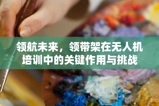领航未来，领带架在无人机培训中的关键作用与挑战