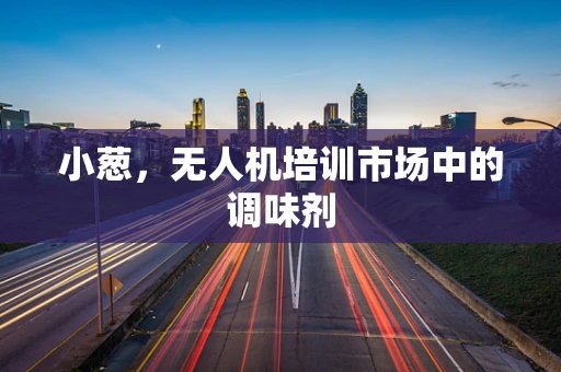 小葱，无人机培训市场中的调味剂
