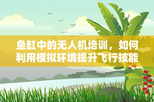 鱼缸中的无人机培训，如何利用模拟环境提升飞行技能？