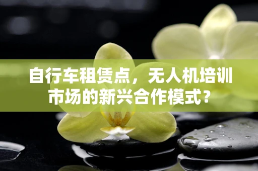 自行车租赁点，无人机培训市场的新兴合作模式？