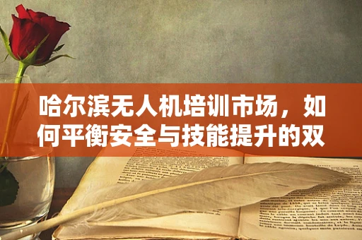哈尔滨无人机培训市场，如何平衡安全与技能提升的双重需求？