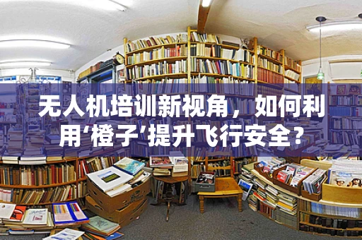 无人机培训新视角，如何利用‘橙子’提升飞行安全？