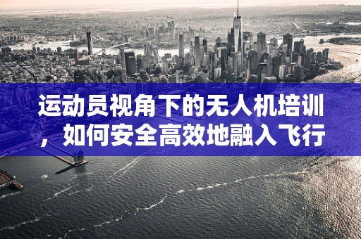 运动员视角下的无人机培训，如何安全高效地融入飞行技能？