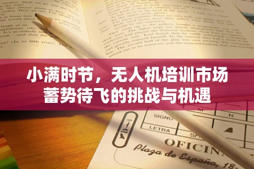 小满时节，无人机培训市场蓄势待飞的挑战与机遇