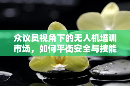 众议员视角下的无人机培训市场，如何平衡安全与技能提升的双重需求？
