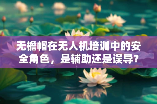 无檐帽在无人机培训中的安全角色，是辅助还是误导？