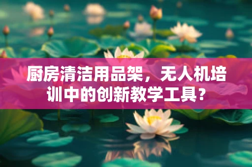 厨房清洁用品架，无人机培训中的创新教学工具？