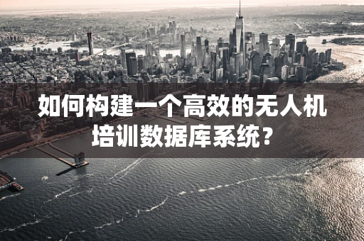 如何构建一个高效的无人机培训数据库系统？