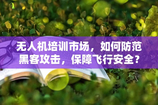 无人机培训市场，如何防范黑客攻击，保障飞行安全？