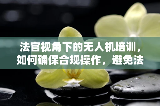 法官视角下的无人机培训，如何确保合规操作，避免法律风险？