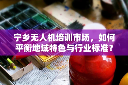 宁乡无人机培训市场，如何平衡地域特色与行业标准？