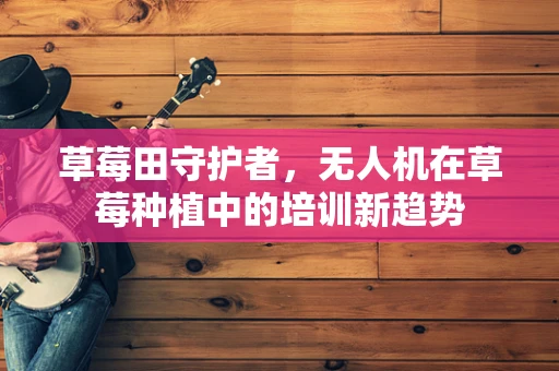 草莓田守护者，无人机在草莓种植中的培训新趋势