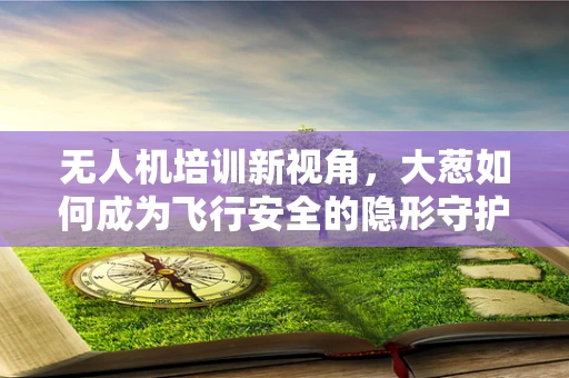无人机培训新视角，大葱如何成为飞行安全的隐形守护者？
