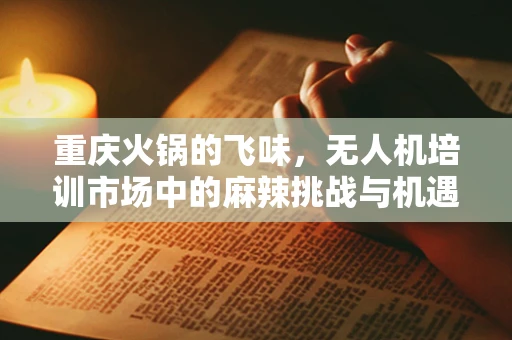 重庆火锅的飞味，无人机培训市场中的麻辣挑战与机遇？