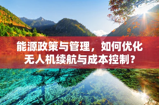 能源政策与管理，如何优化无人机续航与成本控制？