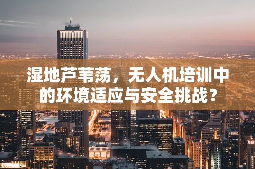 湿地芦苇荡，无人机培训中的环境适应与安全挑战？