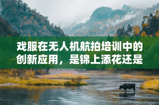 戏服在无人机航拍培训中的创新应用，是锦上添花还是画蛇添足？