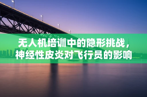 无人机培训中的隐形挑战，神经性皮炎对飞行员的影响及应对策略