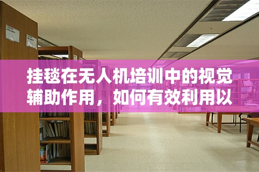 挂毯在无人机培训中的视觉辅助作用，如何有效利用以提升学习效率？