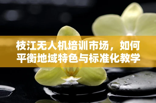 枝江无人机培训市场，如何平衡地域特色与标准化教学？