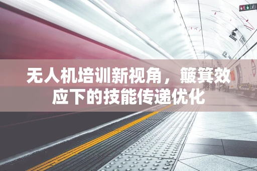 无人机培训新视角，簸箕效应下的技能传递优化