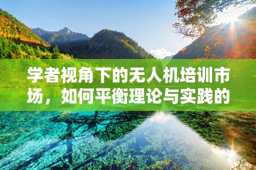 学者视角下的无人机培训市场，如何平衡理论与实践的桥梁？