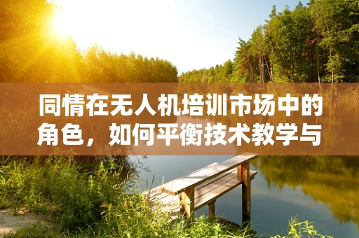同情在无人机培训市场中的角色，如何平衡技术教学与人文关怀？