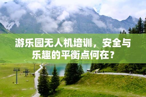 游乐园无人机培训，安全与乐趣的平衡点何在？