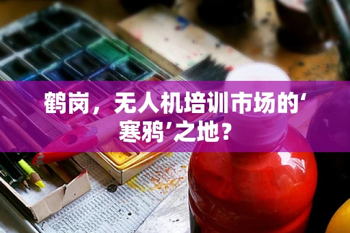 鹤岗，无人机培训市场的‘寒鸦’之地？