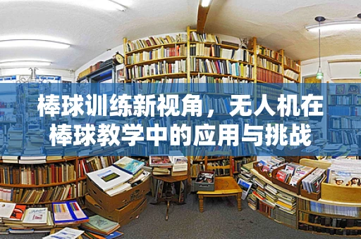 棒球训练新视角，无人机在棒球教学中的应用与挑战