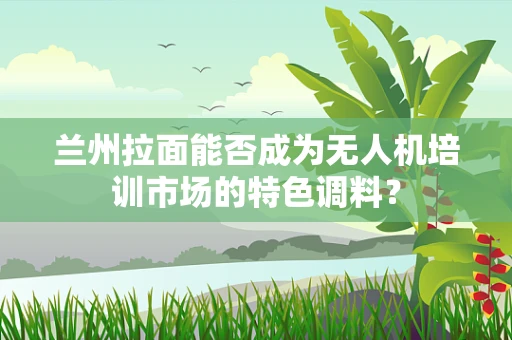 兰州拉面能否成为无人机培训市场的特色调料？