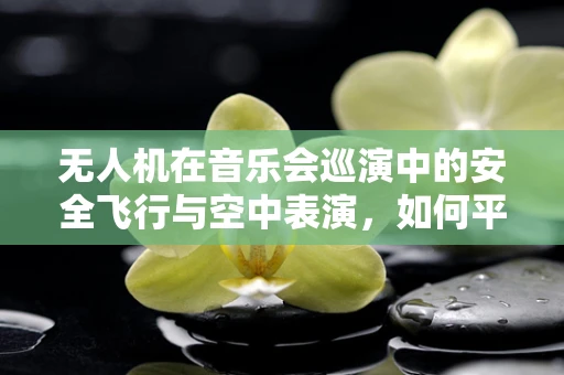 无人机在音乐会巡演中的安全飞行与空中表演，如何平衡艺术与安全？