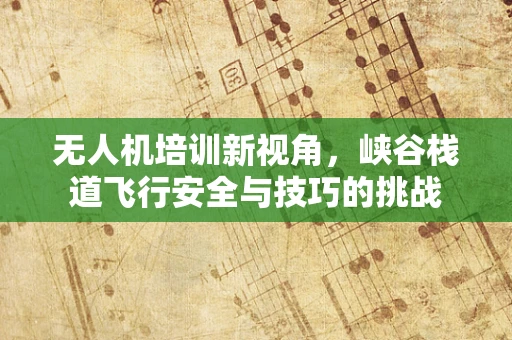 无人机培训新视角，峡谷栈道飞行安全与技巧的挑战