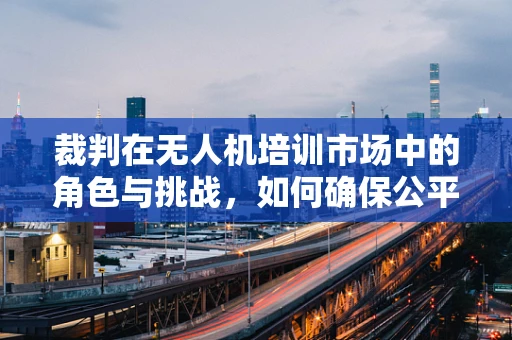 裁判在无人机培训市场中的角色与挑战，如何确保公平与安全？