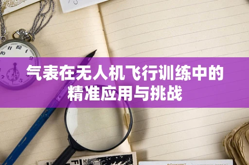 气表在无人机飞行训练中的精准应用与挑战