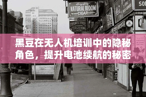黑豆在无人机培训中的隐秘角色，提升电池续航的秘密武器？
