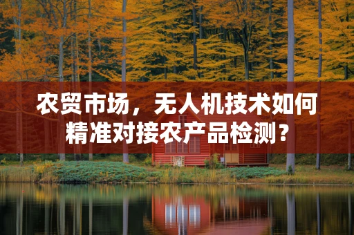 农贸市场，无人机技术如何精准对接农产品检测？