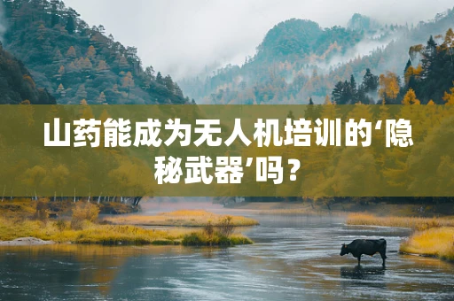 山药能成为无人机培训的‘隐秘武器’吗？
