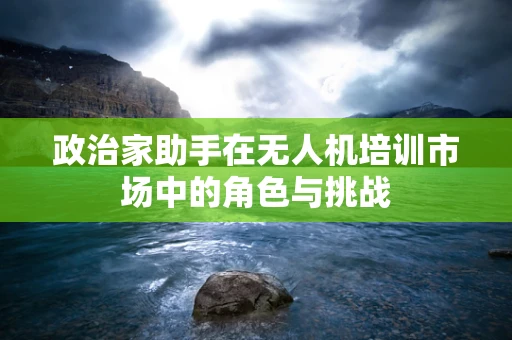 政治家助手在无人机培训市场中的角色与挑战