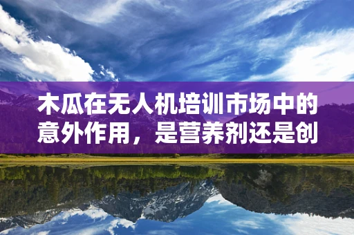 木瓜在无人机培训市场中的意外作用，是营养剂还是创新灵感？