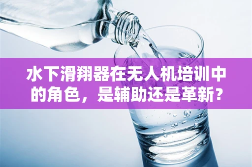 水下滑翔器在无人机培训中的角色，是辅助还是革新？