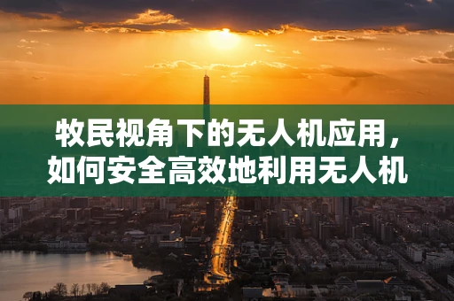 牧民视角下的无人机应用，如何安全高效地利用无人机进行草原监测？