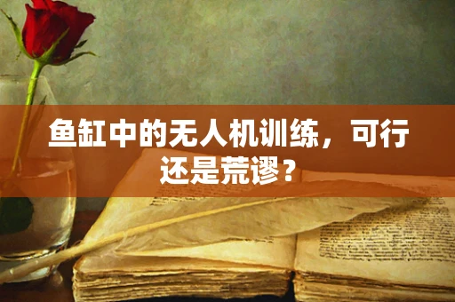 鱼缸中的无人机训练，可行还是荒谬？