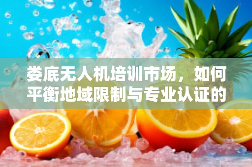 娄底无人机培训市场，如何平衡地域限制与专业认证的挑战？