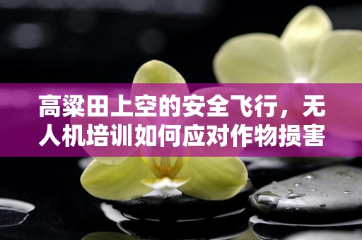 高粱田上空的安全飞行，无人机培训如何应对作物损害风险？