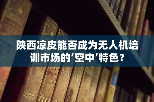 陕西凉皮能否成为无人机培训市场的‘空中’特色？