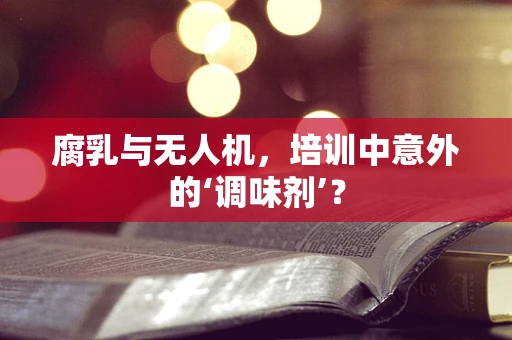 腐乳与无人机，培训中意外的‘调味剂’？