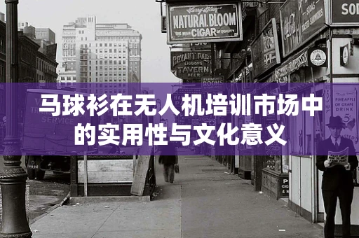 马球衫在无人机培训市场中的实用性与文化意义